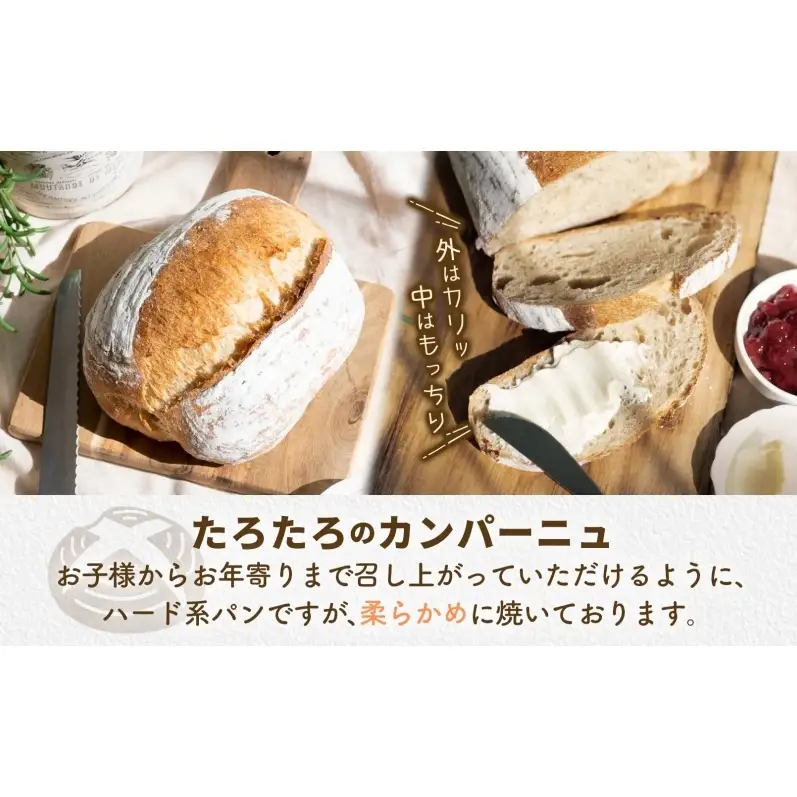 カンパーニュぱん工房たろたろプレーン農林61号カンパーニュ【2個】【定期便3ヶ月】