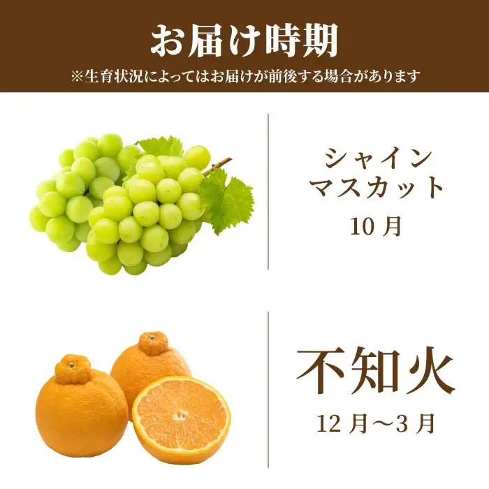 ひろしま フルーツ定期便 ～ シャインマスカット 不知火 (しらぬい)～《全2回定期便》数量限定☆先行受付 フルーツ 果物 くだもの 産地直送 ぶどう ブドウ みかん 柑橘 三原・世羅共通返礼品 広島 T13