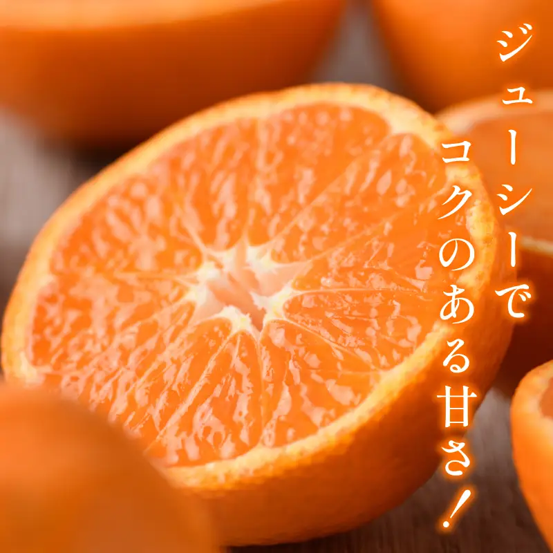 【先行予約】温州みかん（家庭用）約2kg【K003650K2】