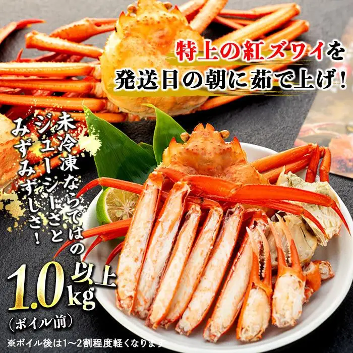 カニ 2027年3月発送 訳あり ボイル紅ズワイガニ 2～3杯セット かに 蟹 冷蔵