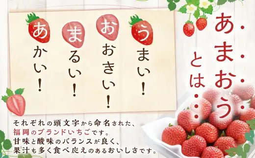 博多あまおうリッチな3回定期便 いちご イチゴ 苺 あまおう くだもの 果物 フルーツ 果実 果汁 果肉 定期便 定期 定期配送 国産 福岡県産 【 2026年12月上旬～2027年2月下旬発送予定 】