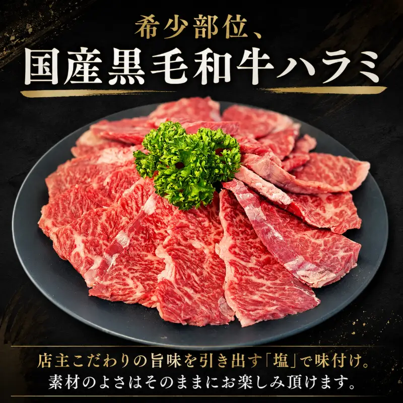国産黒毛和牛 ハラミ・塩ダレホルモンセット計500g 肉 国産 阿波牛