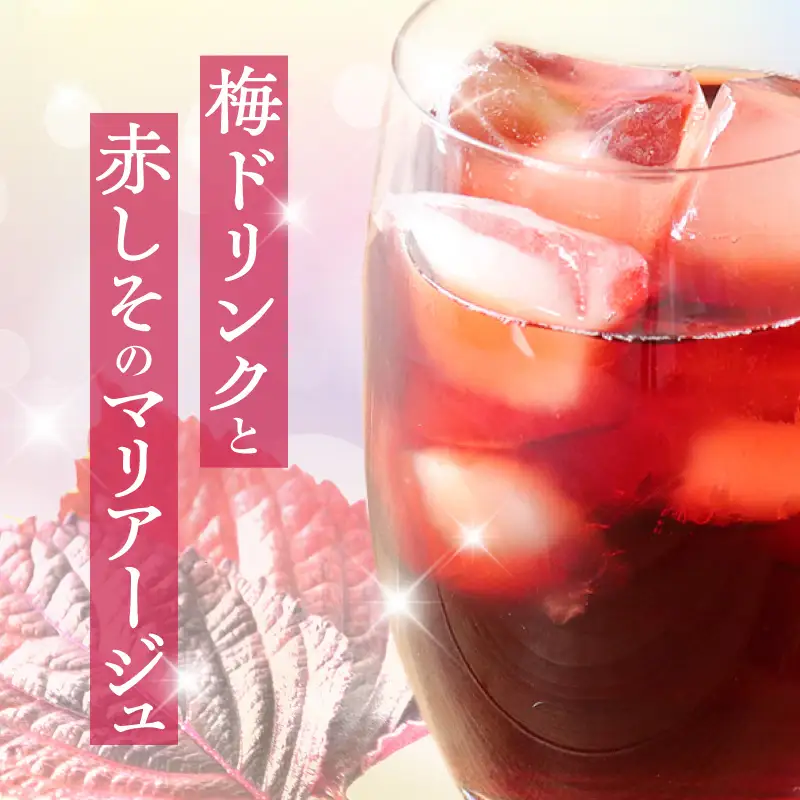 『一番摘み赤しそドリンク～18年熟成梅寿酢仕立て～』 300ｍｌ２本 一番摘み赤しそ 国産梅 無添加 こだわり 飲料 18年以上 熟成 エキス 清涼飲料水 食前 シロップ アイスクリーム 七福醸造 H001-121