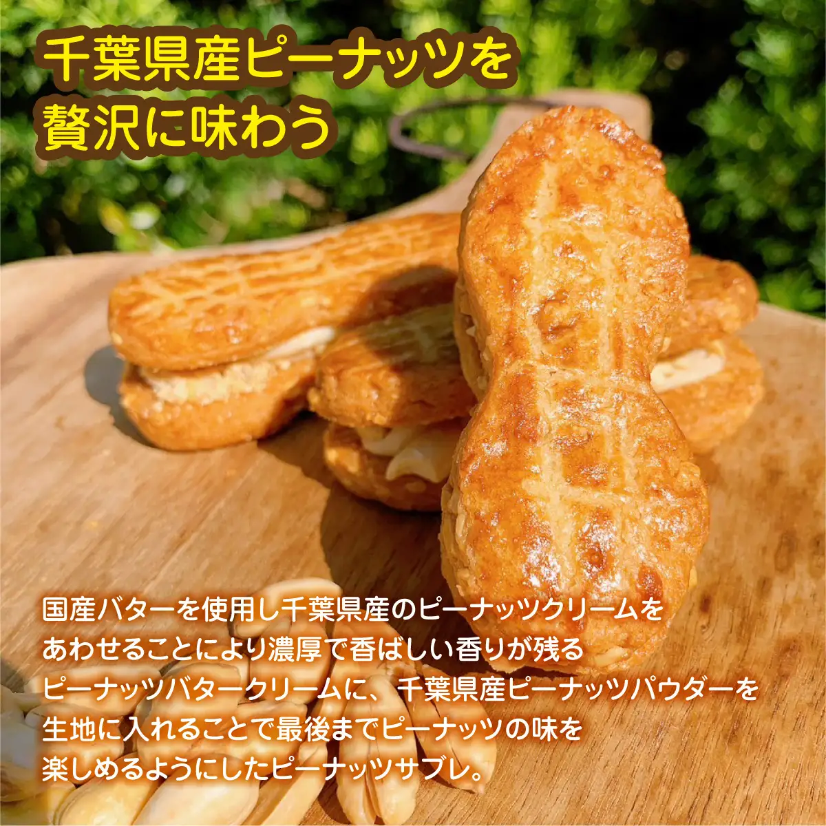 産地直送のピーナッツバターサンド×10個セット BD003