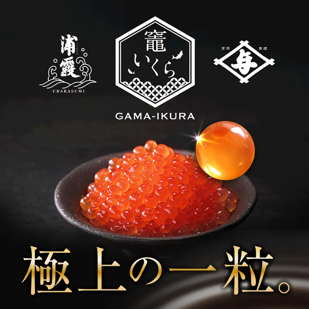 【定期便/計3回】竈いくら（いくら醤油漬け）200g （計600g） | 寿司 いくら 醤油漬け 冷凍 天然 鮭いくら イクラ 塩竈市 宮城県 YAMATO ya00003-200-t3 | ya00003-200-t3
