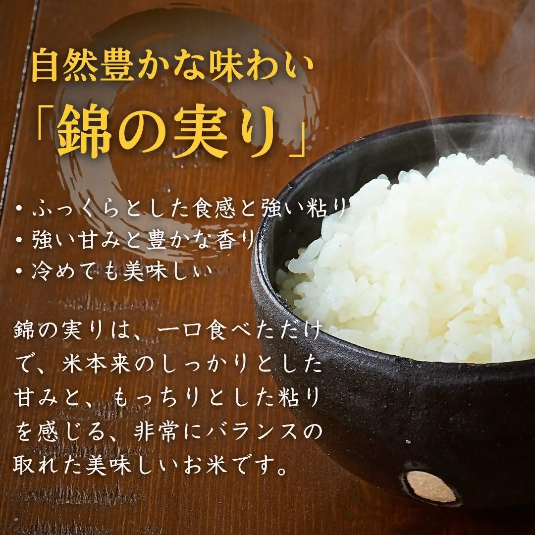 【コシヒカリ】令和7年産 魚沼産コシヒカリ 定期便 ブランド認証米 錦の実り Aランク 精米20kg (5キロ2袋 毎月全2回) 