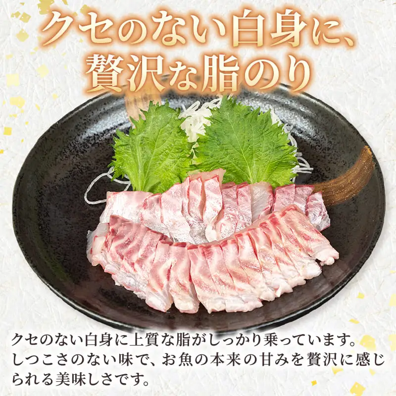 イサキ 皮なし お刺身用柵 2尾分 お刺身