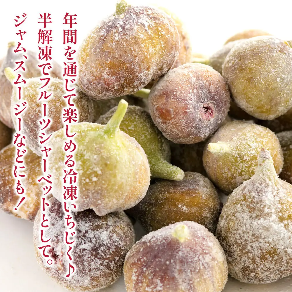 冷凍いちじく（とよみつひめ）約２kg