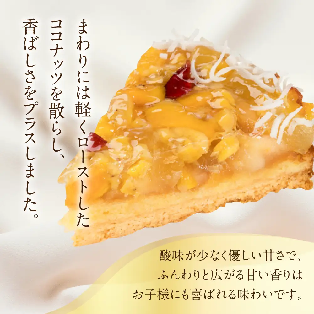 【夏季限定】タカバヤシのサマードライフルーツのタルト 15cm径【23-13】
