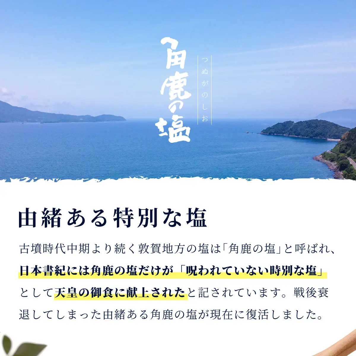 福井梅をたっぷり使用！角鹿の塩 小袋 20g [080-a009]