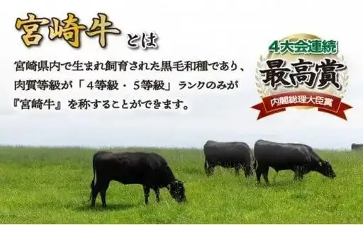 《2026年8月発送》宮崎牛ミスジステーキ600g_K033-045-2608