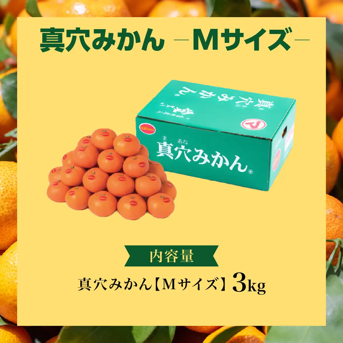 【先行受付】真穴みかん【Mサイズ】 約3kg【D43-10】【1654524】 YWTAG010