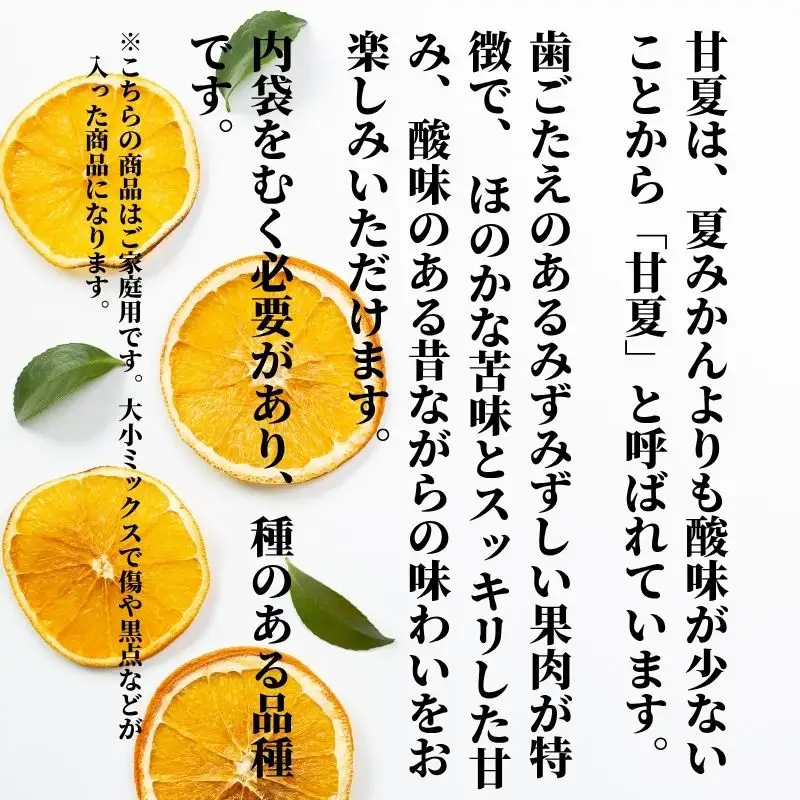【2027年2月下旬頃から順次発送】甘夏 家庭用  約5kg | 愛媛 愛媛県産みかん 蜜柑 ミカン mikan みかん あまなつ  柑橘 お取り寄せ グルメ 期間限定 数量限定 酸味 果物 旬  愛媛県 松山市 【PT054】