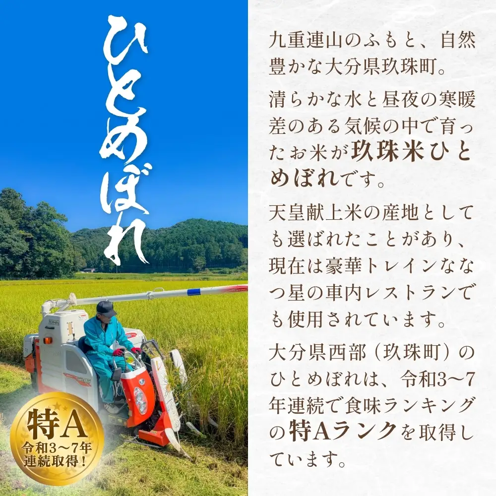 【令和8年度産先行受付】 米 ひとめぼれ 白米 5kg × 3回 毎月 定期便 こめ コメ お米 ヒトメボレ ご飯 ライス 大分県 大分 玖珠町 玖珠