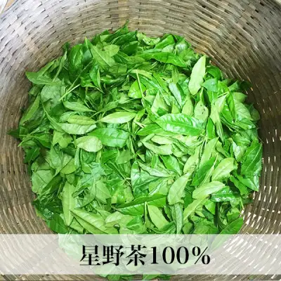 【2026年産】星野村の八女茶 かぶせ茶 80g×2本【銘茶 福岡銘茶 お取り寄せ 茶 お茶 おちゃ 八女茶 人気 おすすめ ソフトドリンク 飲料 常温 送料無料 CE083】