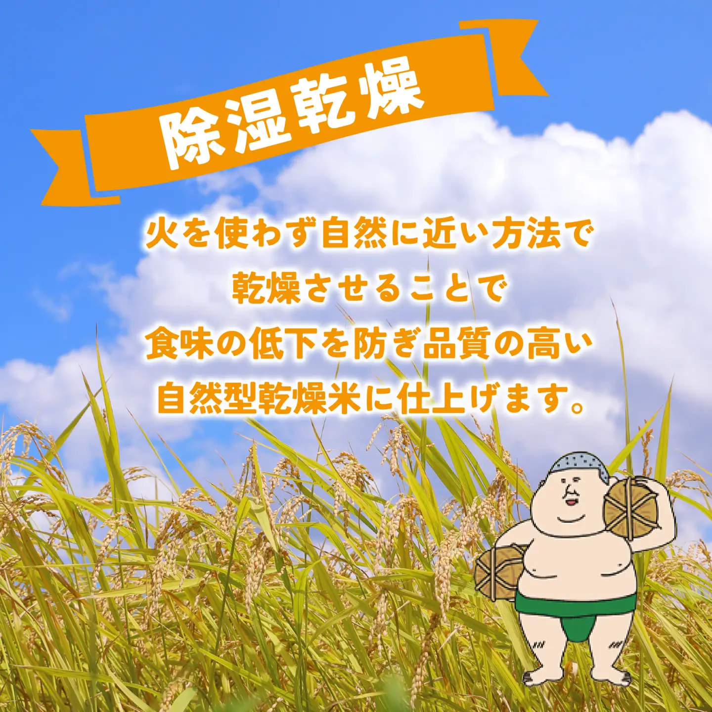 里山のこしひかり ほくの里 10kg × 1袋 |  コシヒカリ 令和7年産