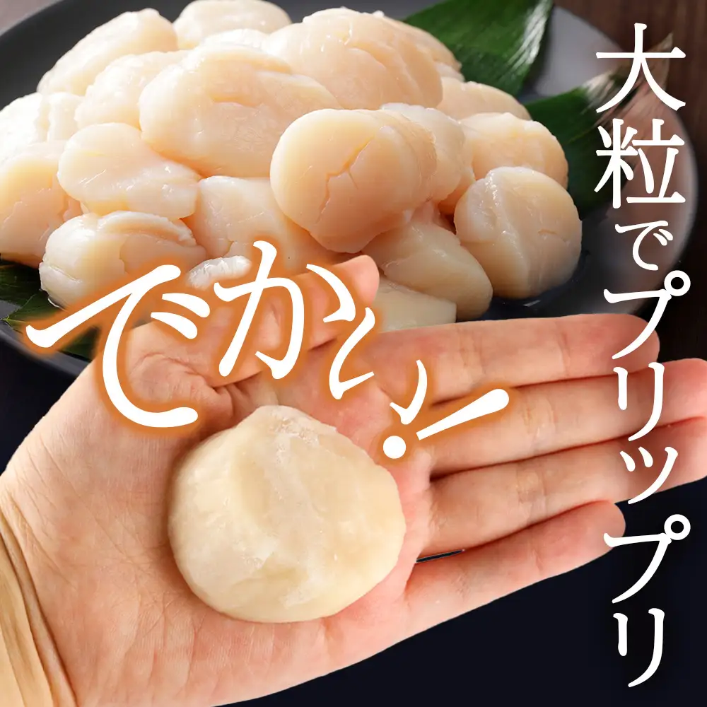 北海道産 白老加工 ホタテ玉冷大 計1.6kg（800g×2袋）＜斉藤水産＞ AM210