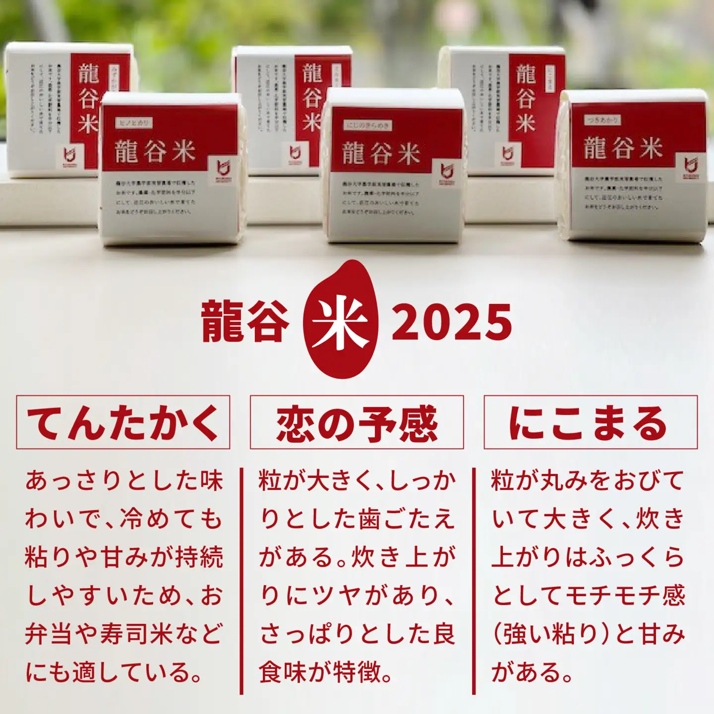 龍谷米 味くらべセット [CM006] / お米 精米 食べ比べ てんたかく 恋の予感 にこまる 2合 [CM006]