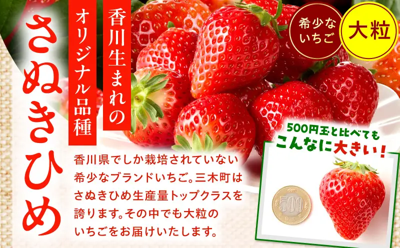 【先行予約】苺音スタンダードハーフ ～春の大粒のさぬきひめいちご～ 約425g | スイーツ いちご イチゴ ストロベリー さぬきひめ さぬき姫 苺 冷蔵 フルーツ 旬 果物 香川県 デザート 青果物 おすすめ |_mk137-008