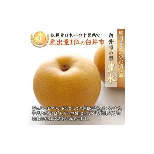 【2026年秋収穫分】豊水 梨 5kg 12～16玉 予約受付 しろいの梨 果汁たっぷり ジューシー みずみずしい 甘い 美味しい