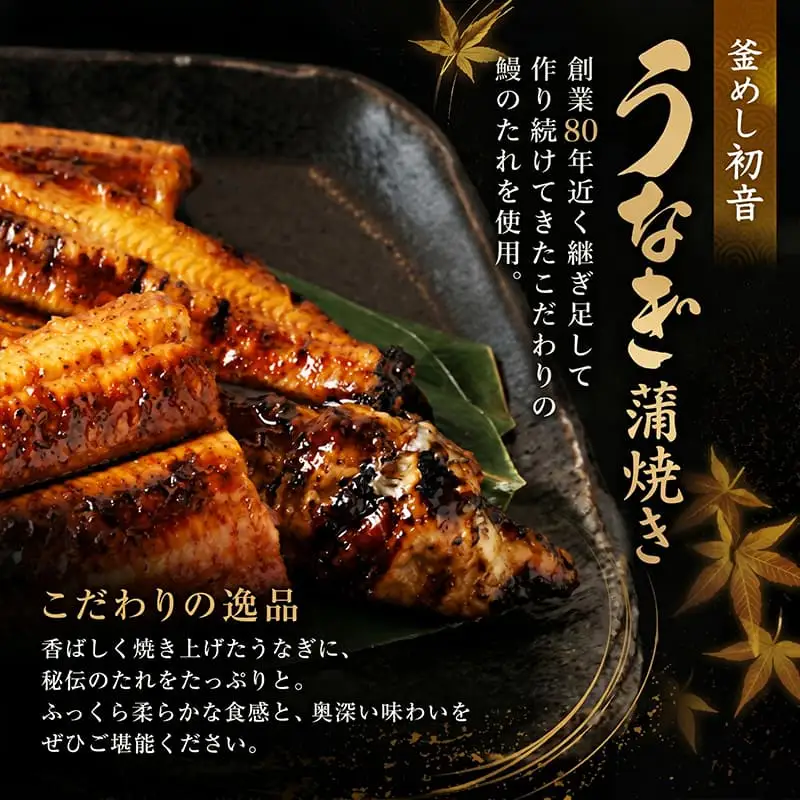 【老舗初音】【6回定期便】国産うなぎ 蒲焼き約190g×3尾 ＼ 高知県産 鰻蒲焼き ／