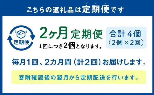 【1ヶ月毎2回定期便】 カムカムおこめチップス（しお） ボックスタイプ 計4個 （2個×2回） お菓子 スナック菓子