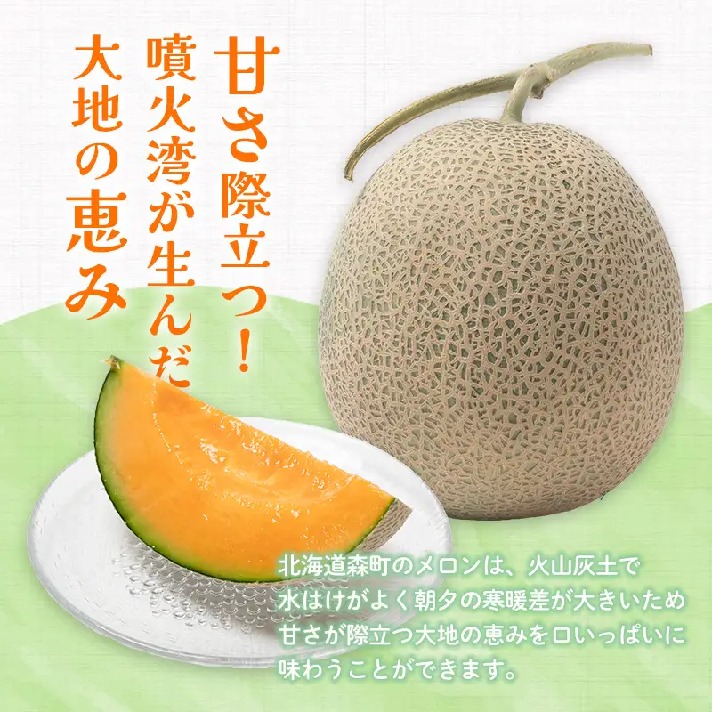 北海道森町産赤肉メロン 中玉 2玉入り(1玉約1.3~1.6kg) ＜道産ネットミツハシ＞ 森町 メロン 果物 赤肉 北海道産 北海道 mr1-1421