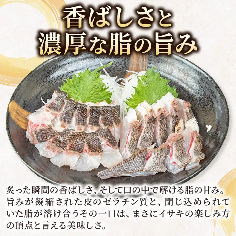 イサキ 皮付き 炙り 半身分 炙り