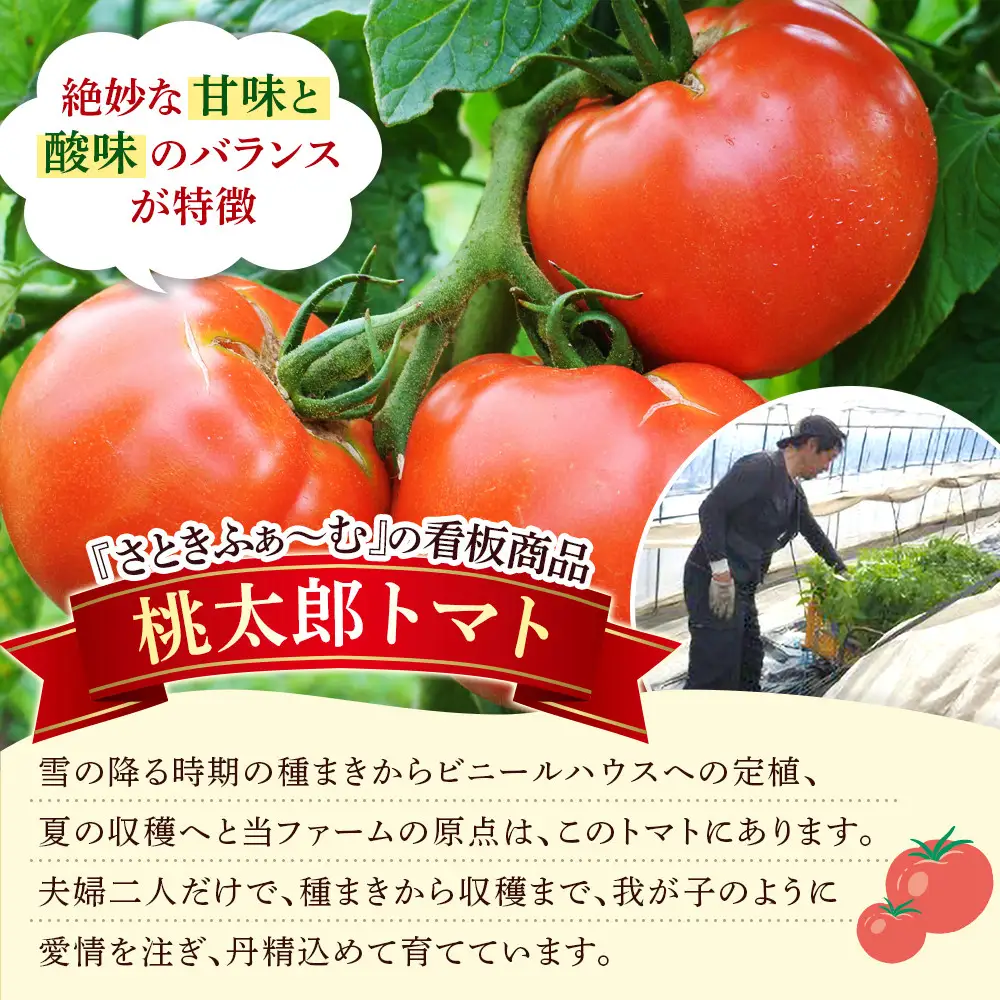 旭川市西神楽産 桃太郎トマト2kg トマト _05907