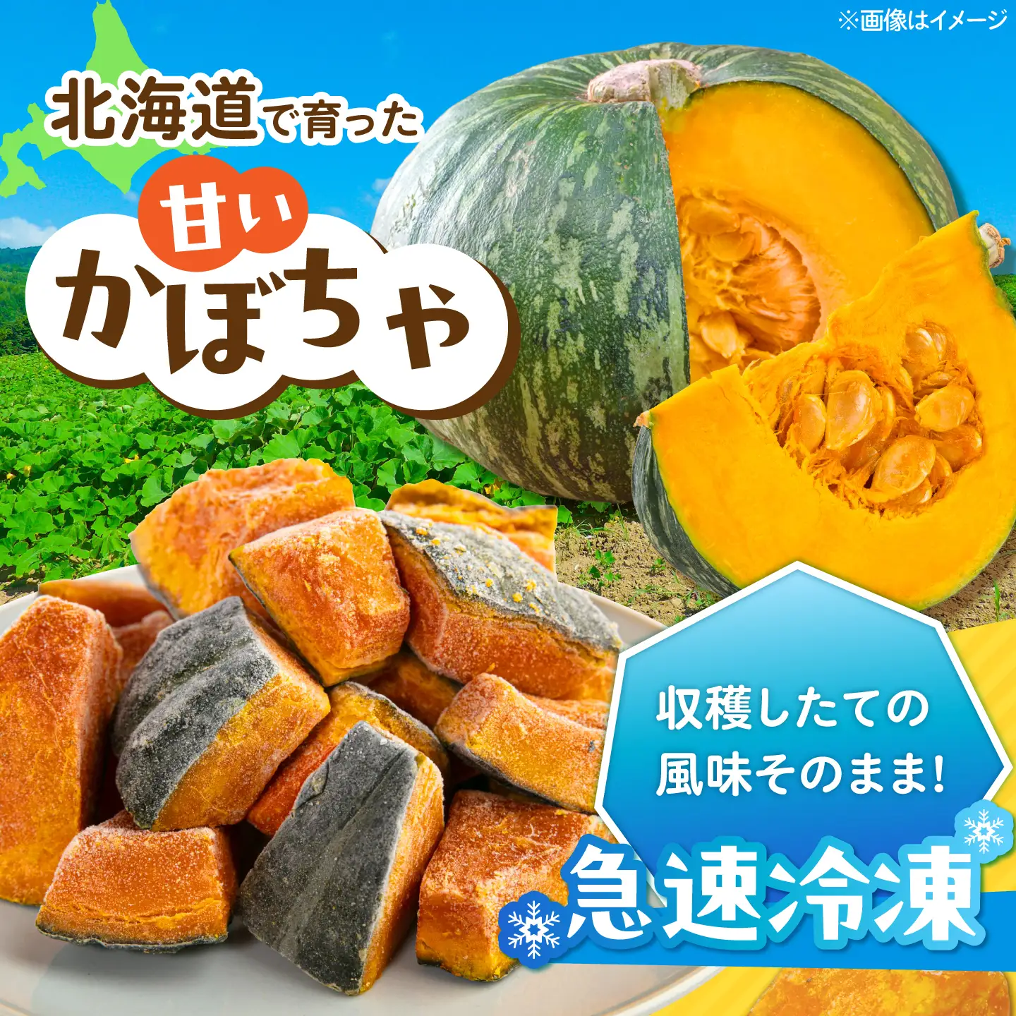 冷凍かぼちゃ 20袋 [AJAW003] かぼちゃ