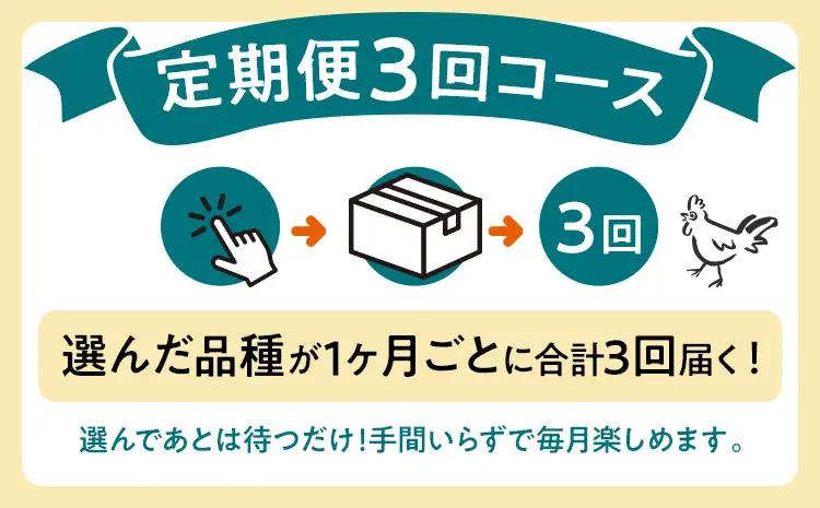 卵 定期便 3回 放牧養鶏卵 10個 「破損補償2個含」 3ヶ月間 若のレボリューション 卵 ※北海道・沖縄・離島は配送不可
