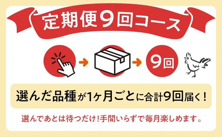 卵 定期便 9回 放牧養鶏卵 10個 「破損補償2個含」 9ヶ月間 若のレボリューション 卵 ※北海道・沖縄・離島は配送不可