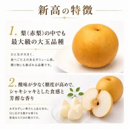 新高 梨 5kg 8～12玉 予約受付 梨 なし 甘い かすみがうら市【配送不可地域：離島・沖縄県】【1743817】