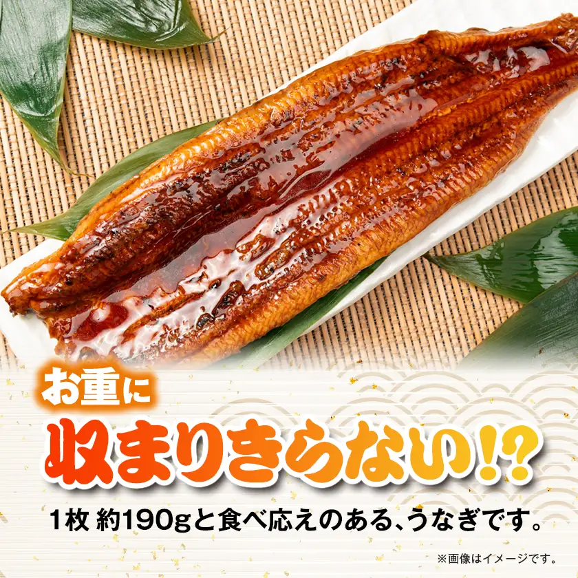 うなぎ長蒲焼約570g(約190g×3)【配送不可地域：離島】【1743609】