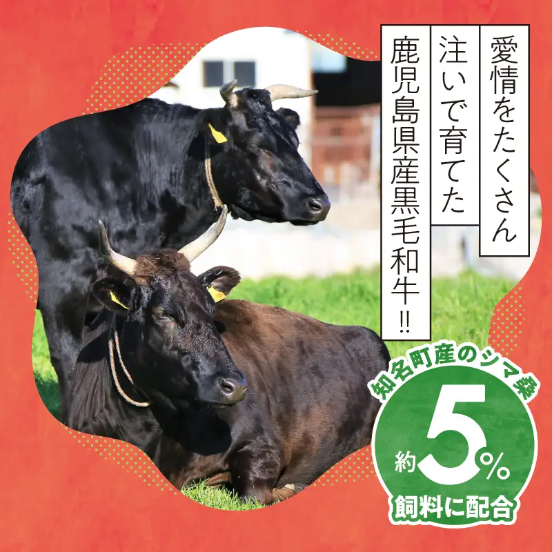南の島育ち！ 牛 焼肉 おまかせ 800g（ リブロース ・ サーロイン ・ ヒレ のいずれか1部位） C079-001 肉 牛肉 冷凍