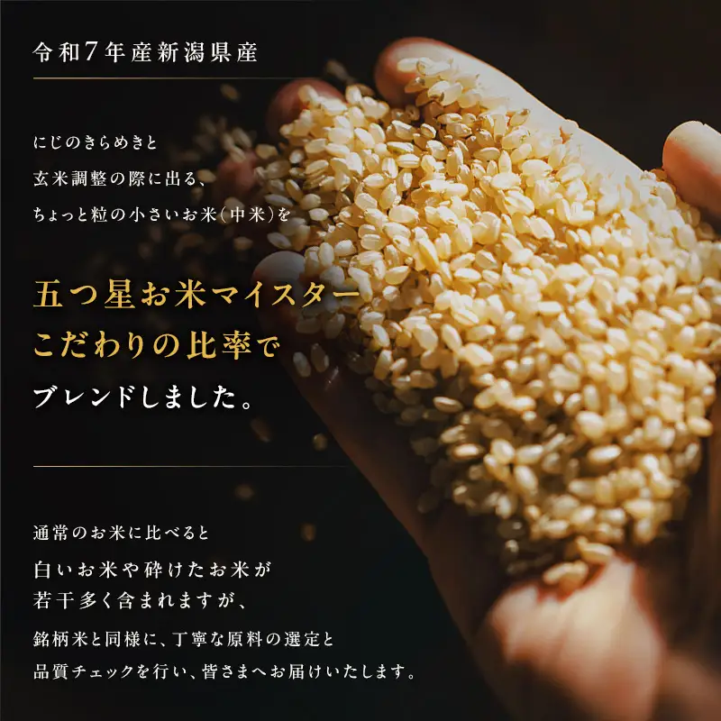 訳あり 新潟県産 米 ブレンド 5kg 訳アリ