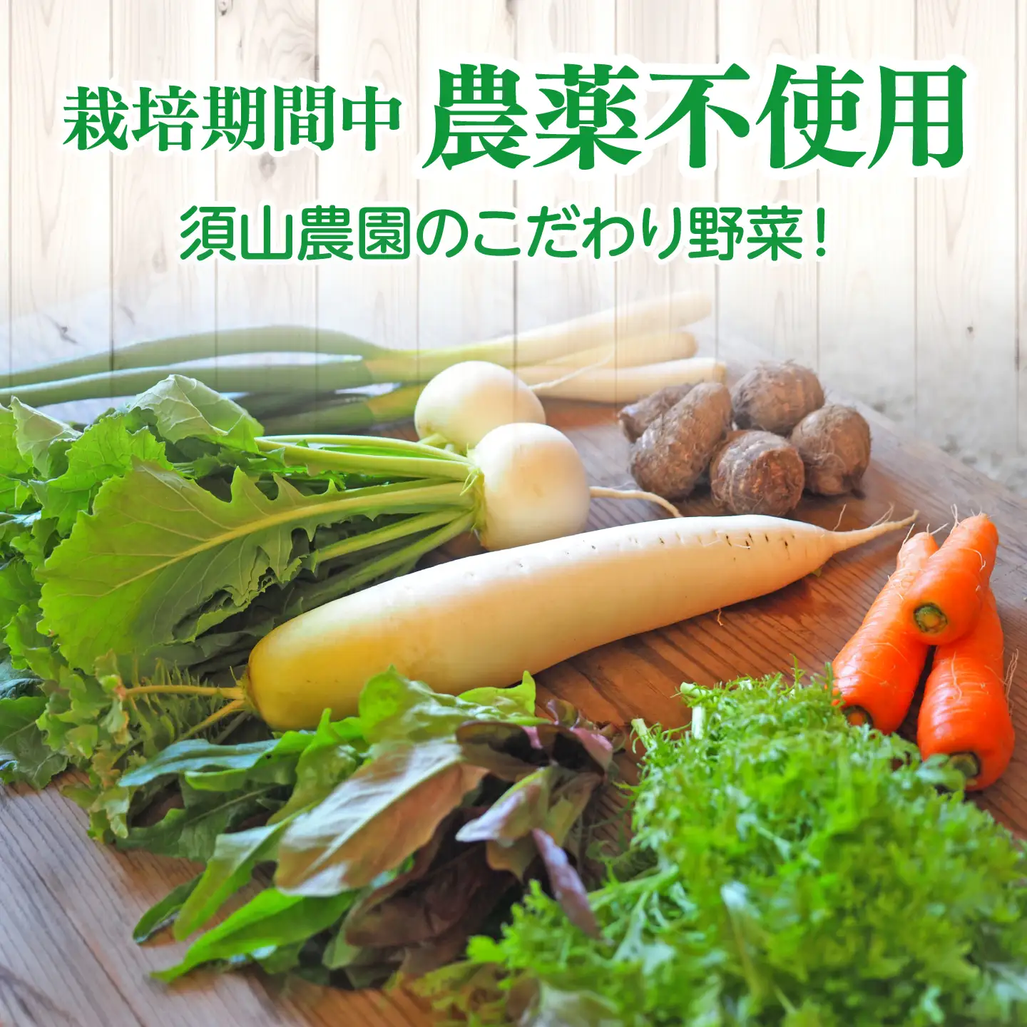 【旬の野菜セット】野菜 産地直送 詰め合わせ 栽培期間中農薬不使用 セット　島根県松江市/須山農園[ALBD004]