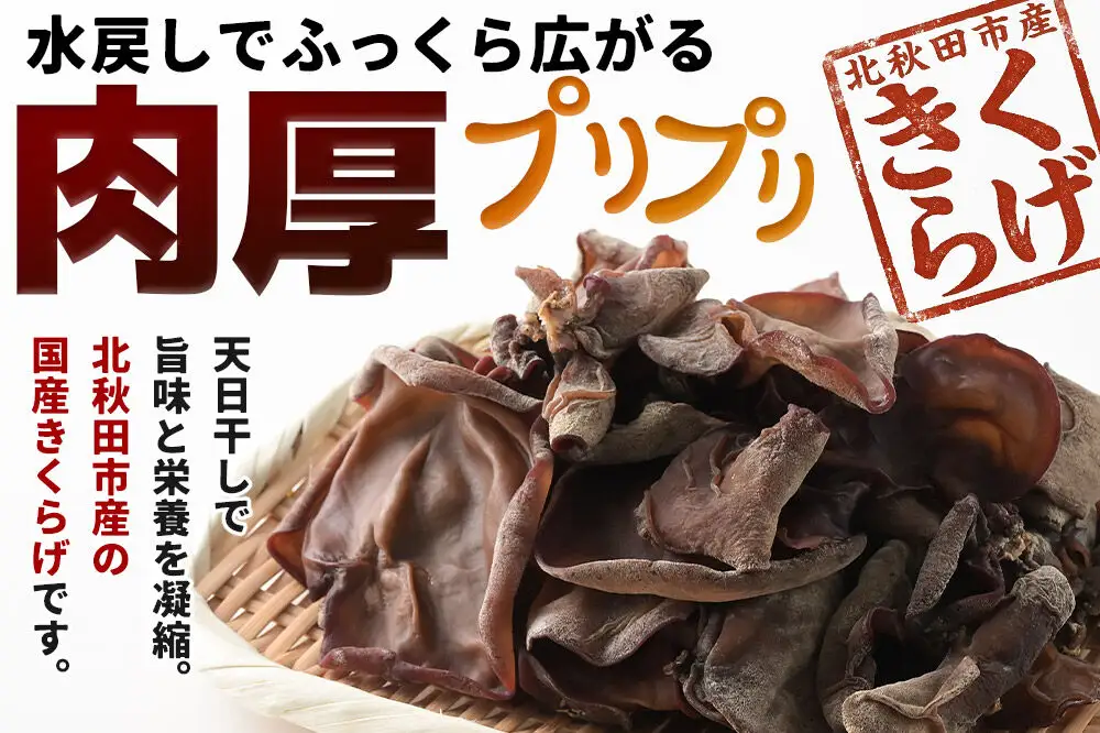 国産 乾燥きくらげ 100g 天日干し 秋田県北秋田市産
