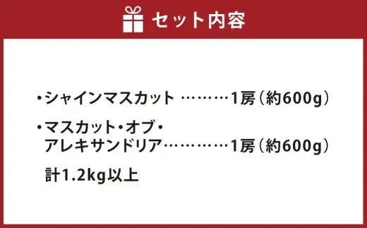 シャインマスカット ＆ マスカット ・ オブ ・ アレキサンドリア 詰め合わせ （ 各1房 約600g以上 計1.2kg以上 ） ブドウ ぶどう 葡萄 マスカット エメラルドグリーン 果物の女王 くだもの 果物 フルーツ 果実 果汁 果肉 国産 岡山県産 種なし 皮ごと セット 食べ比べ 旬 【 2026年7月下旬～8月上旬迄発送予定 】