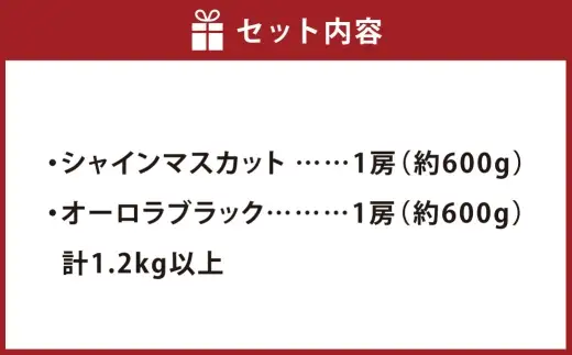 オーロラブラック＆ シャインマスカット 詰め合わせ （ 各1房 約600g以上 計1.2kg以上 ） ブドウ ぶどう 葡萄 マスカット エメラルドグリーン 果物の女王 くだもの 果物 フルーツ 果実 果汁 果肉 国産 岡山県産 種なし 皮ごと セット 食べ比べ 旬 【 2026年7月下旬～8月下旬迄発送予定 】