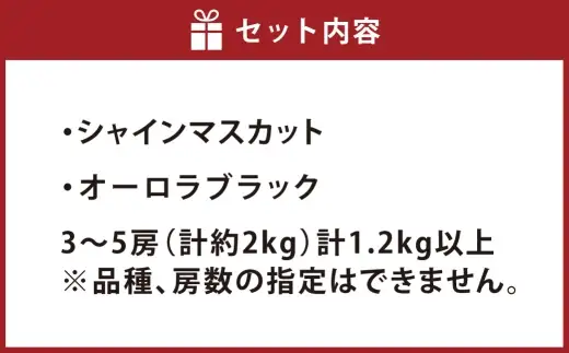 オーロラブラック ＆ シャインマスカット 詰め合わせ （ 3 ～ 5房 計約2kg ） ブドウ ぶどう 葡萄 マスカット エメラルドグリーン 果物の女王 くだもの 果物 フルーツ 果実 果汁 果肉 国産 岡山県産 種なし 皮ごと セット 食べ比べ 旬 【 2026年7月下旬～8月下旬迄発送予定 】