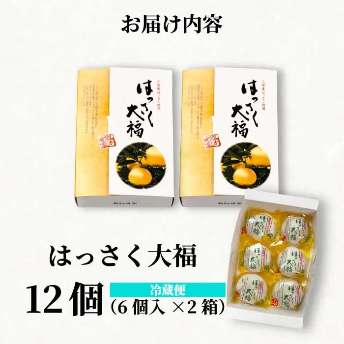 【先行受付】はっさく大福6個入×2箱 2026年11月頃～順次発送予定  ゑびす家 八朔 柑橘 求肥 スイーツ 和菓子 フルーツ 手土産 ギフト 021005