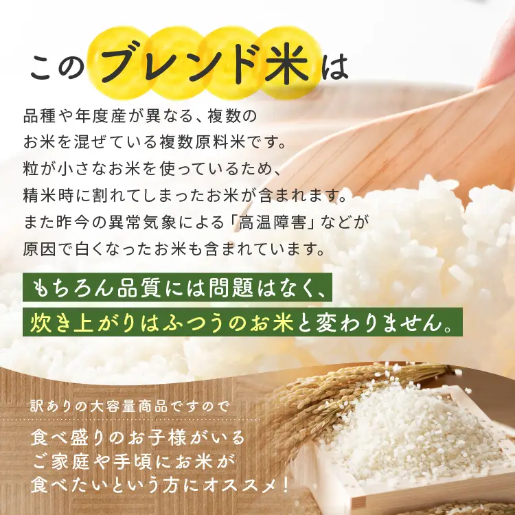 【栃木県共通返礼品】令和7年度産 栃木県産 ブレンド米 10kg