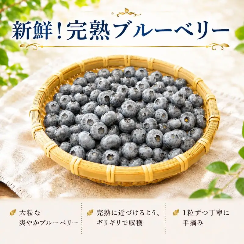 【8月以降発送】完熟  冷凍 ブルーベリー 1kg  北田りんご園 kitada001 ブルーベリー