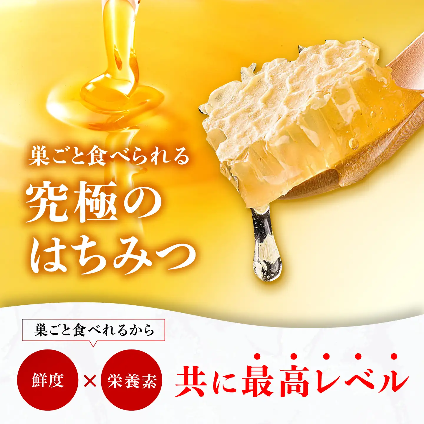 国産巣みつ 300g×5箱　広川町/株式会社九州蜂の子本舗[AFAI049]