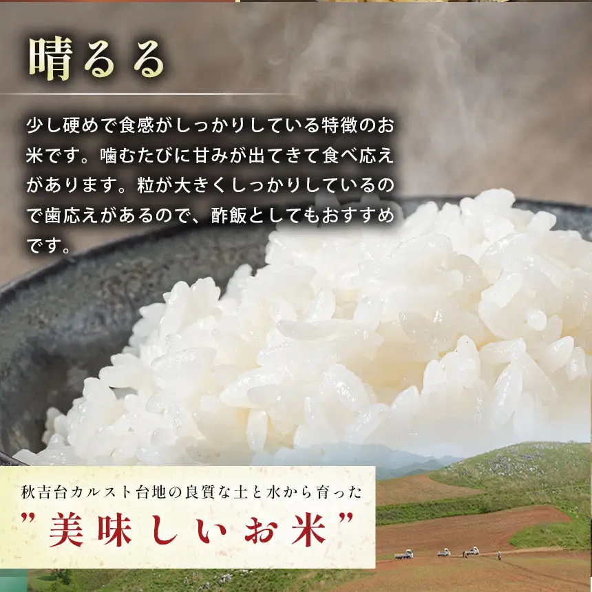 令和8年度産 新米 晴るる 白米 5kg 村上農園 先行予約 ＜ 2026年9月下旬より11月末まで順次発送 ＞