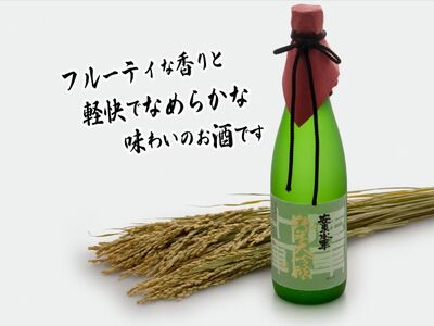 日本酒 純米大吟醸 安東水軍 地酒 日本酒【720ml×1本】