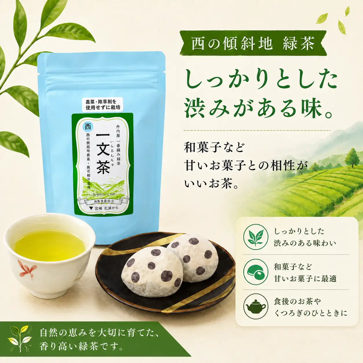 〈 新茶 〉 緑茶 西の傾斜地 40g × 3袋 茶葉 【 一文茶 】
