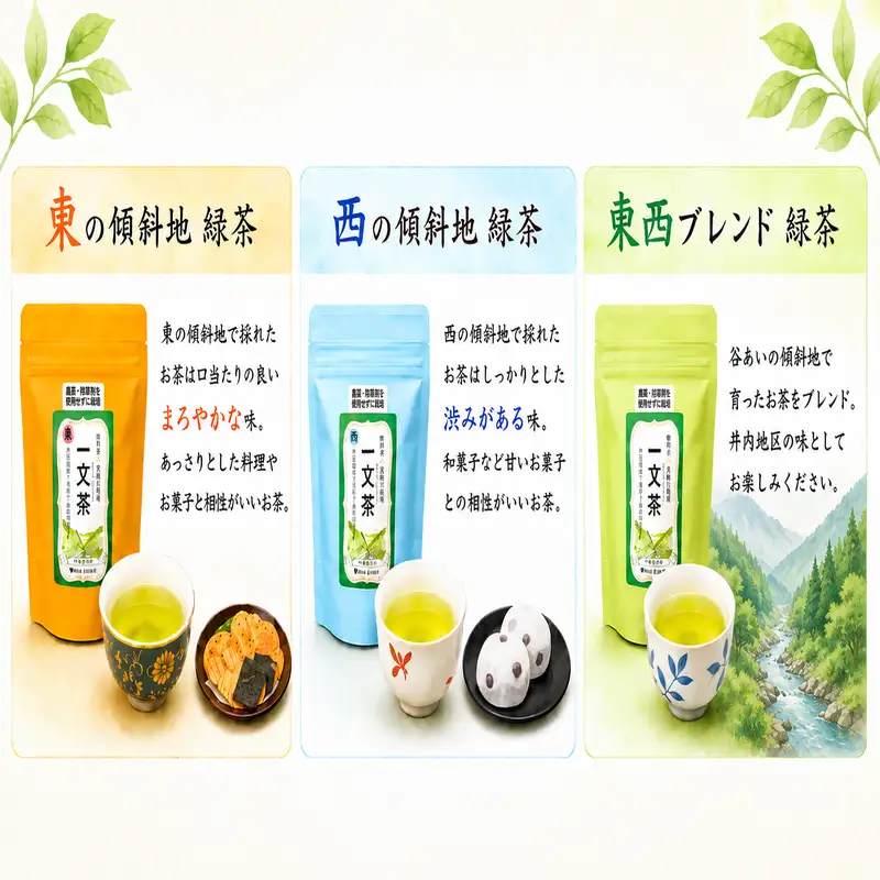 〈 お試し 〉 新茶 緑茶 東 西 ブレンド 飲み比べ セット 25g × 3袋 茶葉 【 一文茶 】