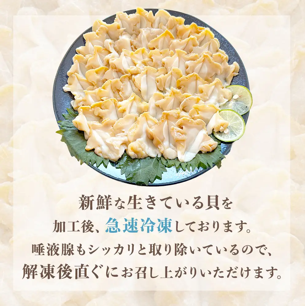 ＜先行予約＞ つぶ刺し 600g つぶ貝 刺身 ツブ貝 ツブ刺し スライス 冷凍 宮城県 石巻市